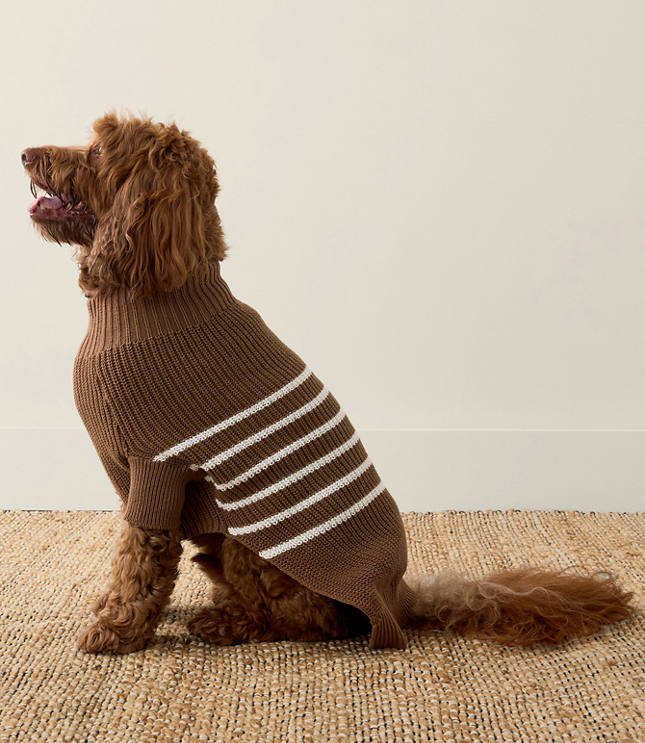 Haven Well Within Organic Cotton Striped Dog Sweater