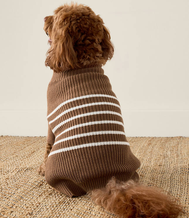 Haven Well Within Organic Cotton Striped Dog Sweater