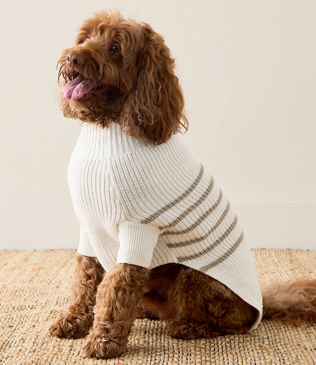 Haven Well Within Organic Cotton Striped Dog Sweater