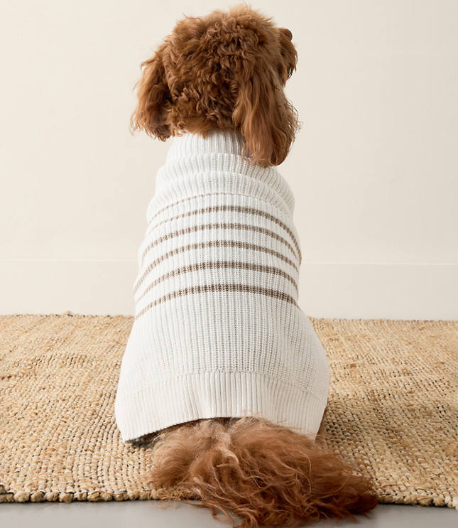 Haven Well Within Organic Cotton Striped Dog Sweater
