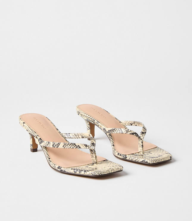 LOFT Versa Snake Print Leather Kitten Heel Thong Sandals