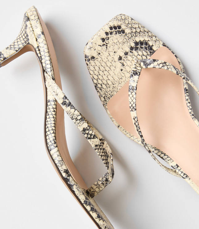 LOFT Versa Snake Print Leather Kitten Heel Thong Sandals