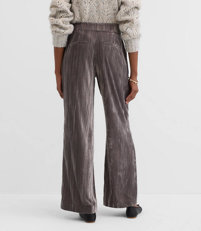 Clean Wide Leg Pants in Pleated Velvet