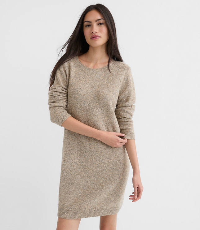 Sequin Mini Sweater Dress