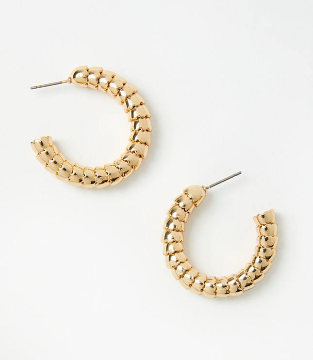 Coiled Hoop Earrings