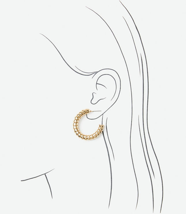 Coiled Hoop Earrings