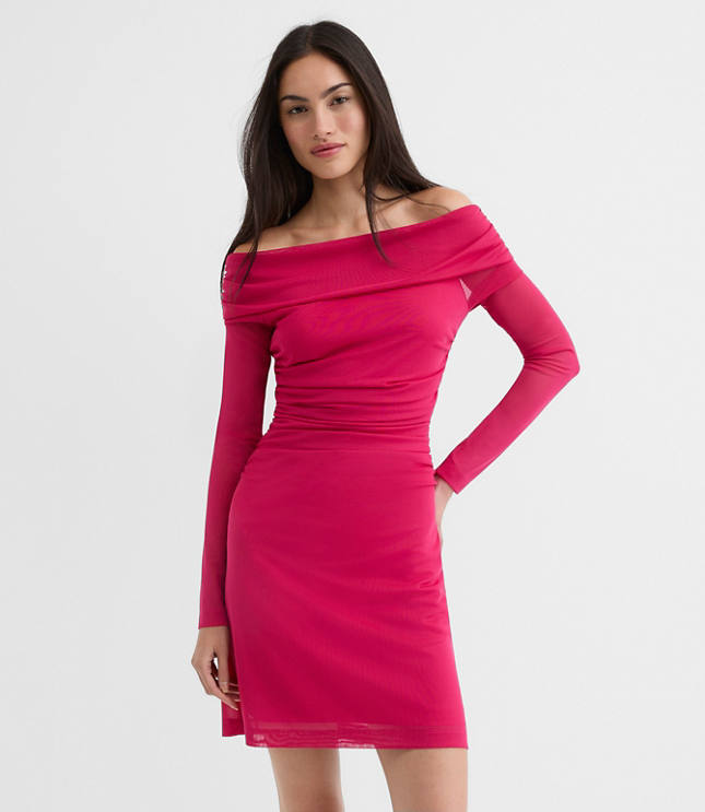 Mesh Ruched Off The Shoulder Mini Dress