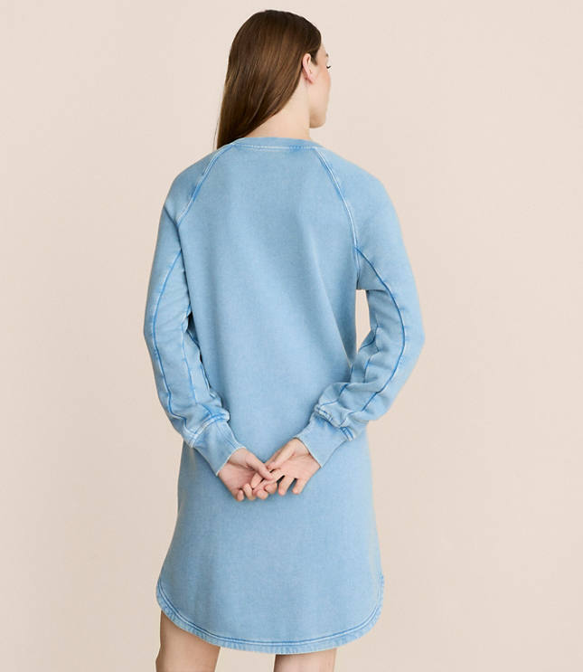 Petite Lou & Grey Raglan Mini Pocket Dress