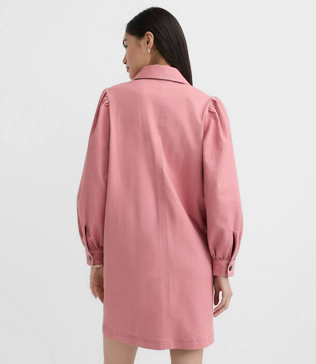 Petite Seamed Zip Mini Pocket Dress