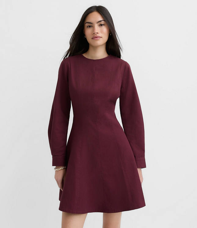 Petite Seamed Barrel Sleeve Mini Dress