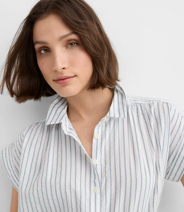 Petite Striped Everyday Dolman Shirt