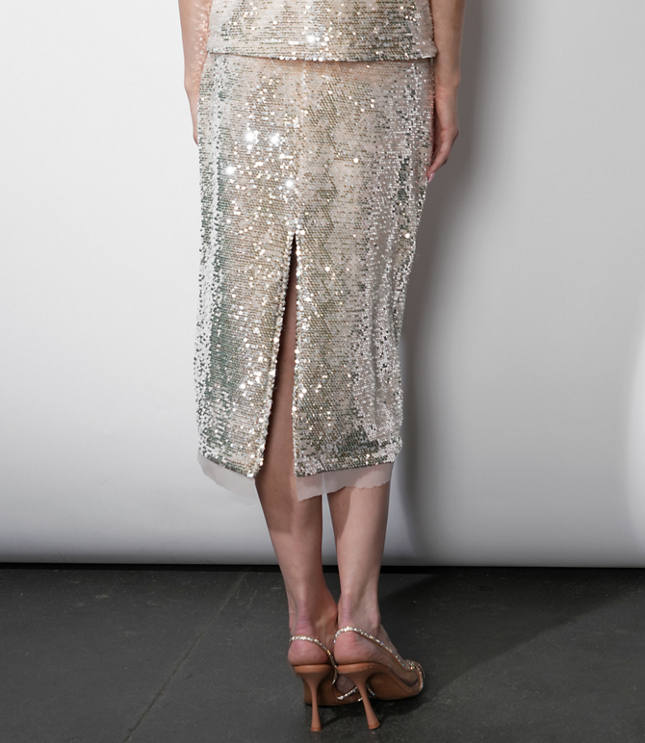 Greylin Gianna Velvet Sequin Midi Skirt