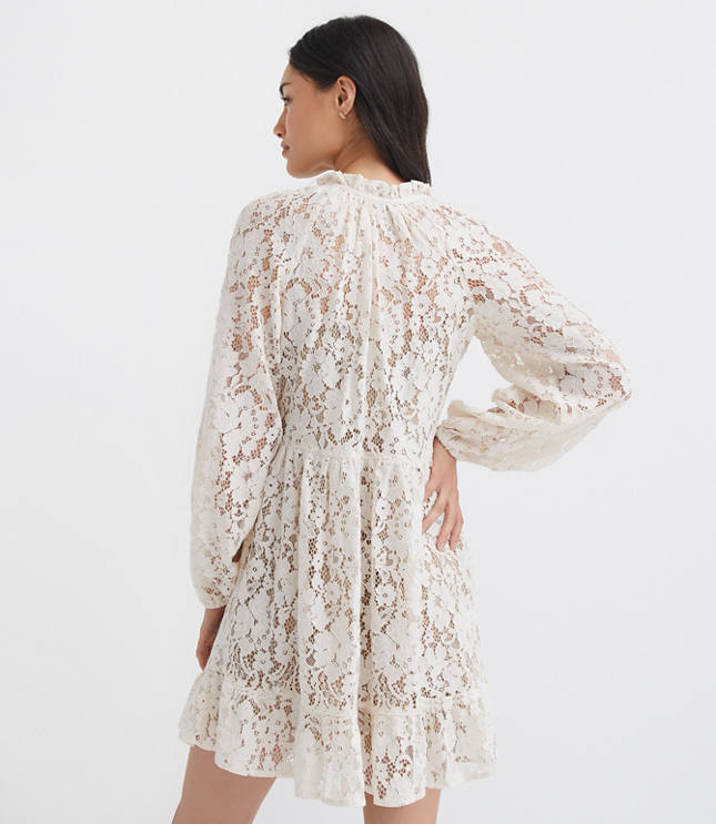 Floral Lace Flounce Mini Dress