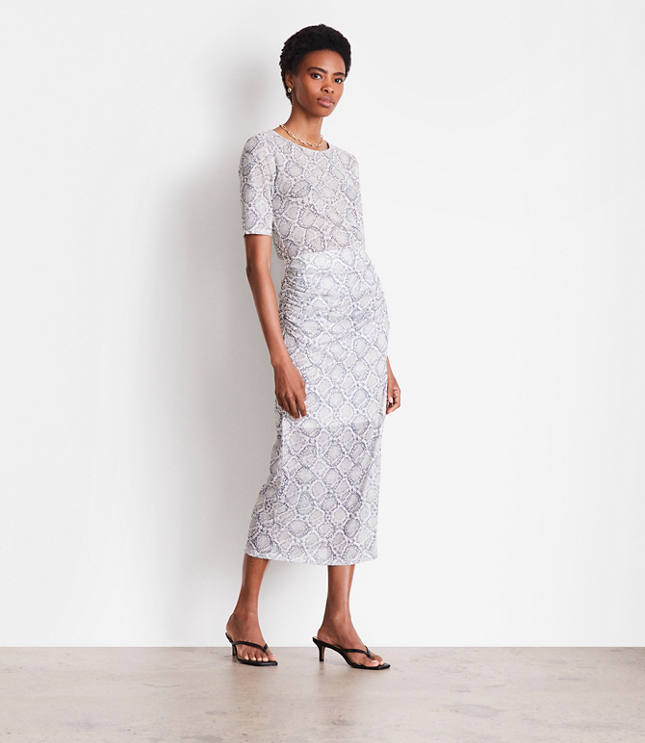 Petite LOFT Versa Snake Print Mesh Ruched Midi Skirt