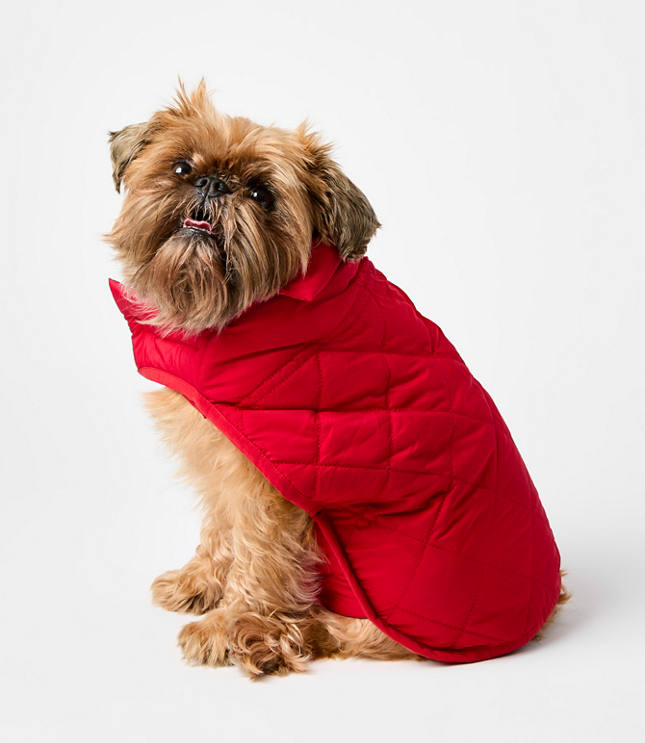 Dog Puffer Jacket