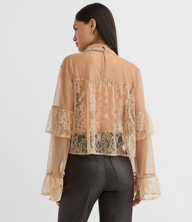 Velvet Dotted Chantilly Lace Ruffle Top