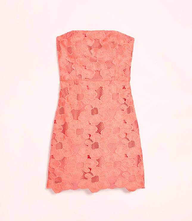 Lately Floral Lace Strapless Mini Dress