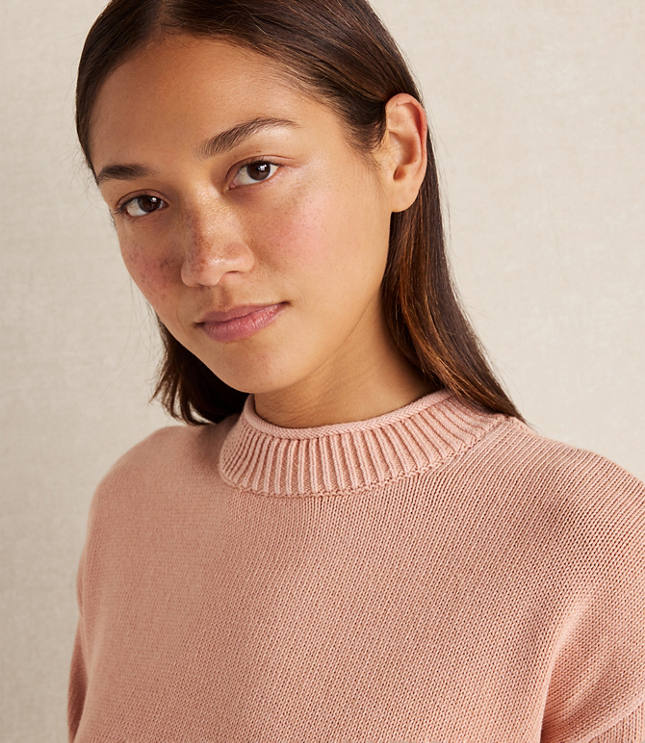 Haven Well Within Organic Cotton Stripe Roll Neck Sweater