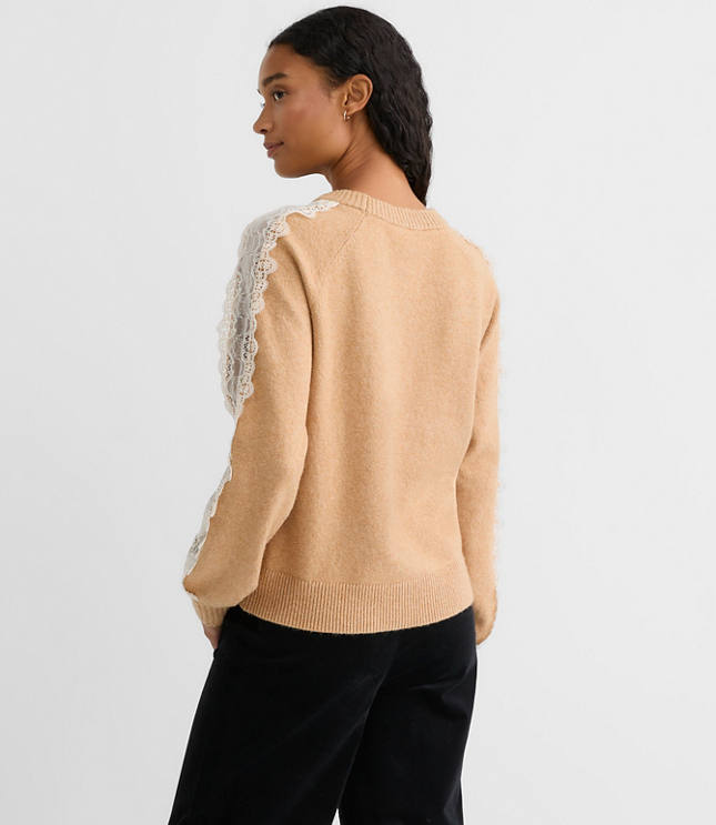 Lace Sleeve Sweater