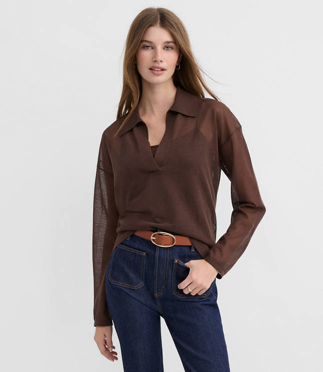 Sheer Collared Split Neck Sweater