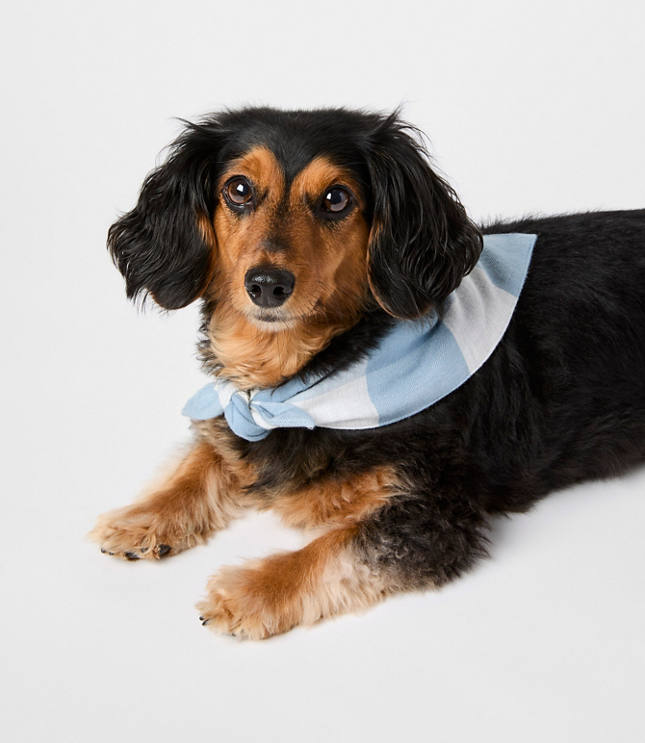 Buffalo Plaid Dog Bandana