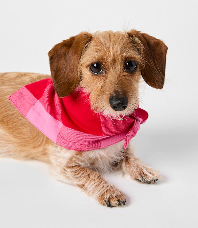 Buffalo Plaid Dog Bandana
