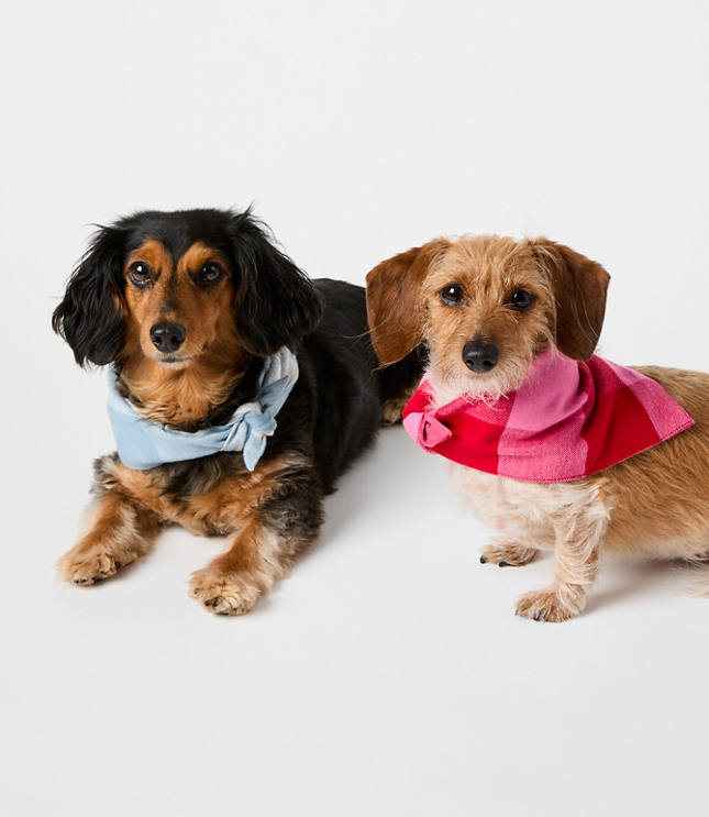 Buffalo Plaid Dog Bandana