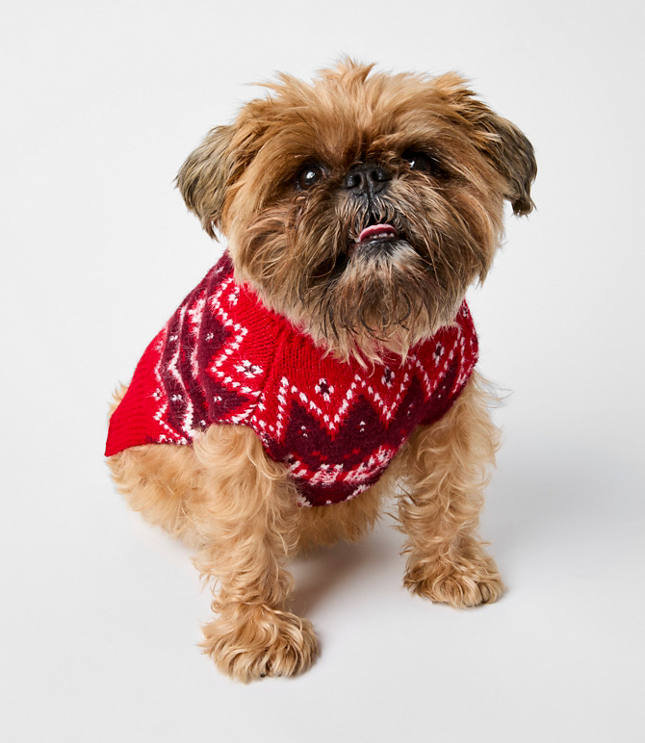 Fair Isle Dog Sweater