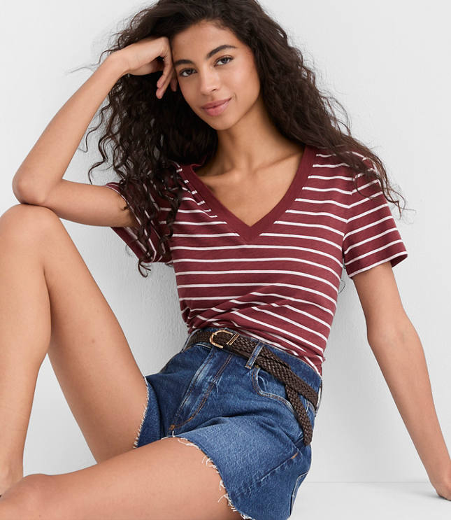Striped Everyday V-Neck Tee