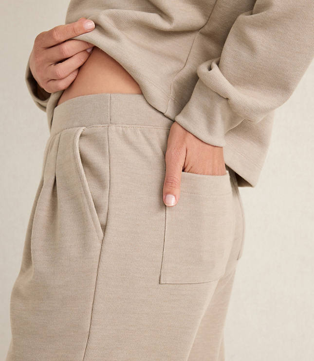 Haven Well Within Double Knit Pleated Pants