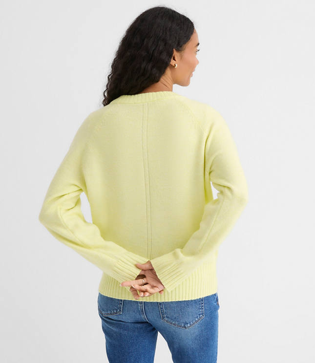 Seamed Raglan Sweater