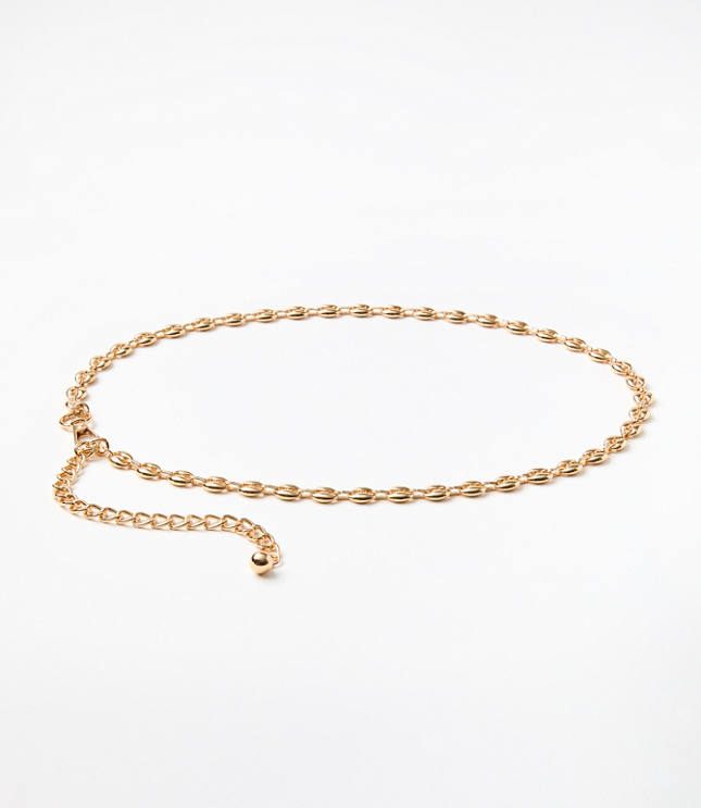 Chain Link Belt