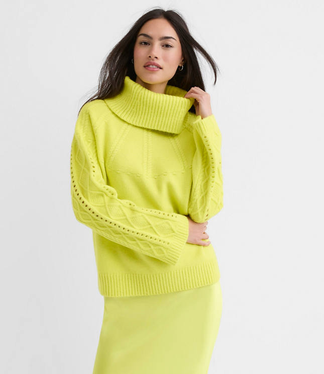 Pointelle Turtleneck Cable Sweater