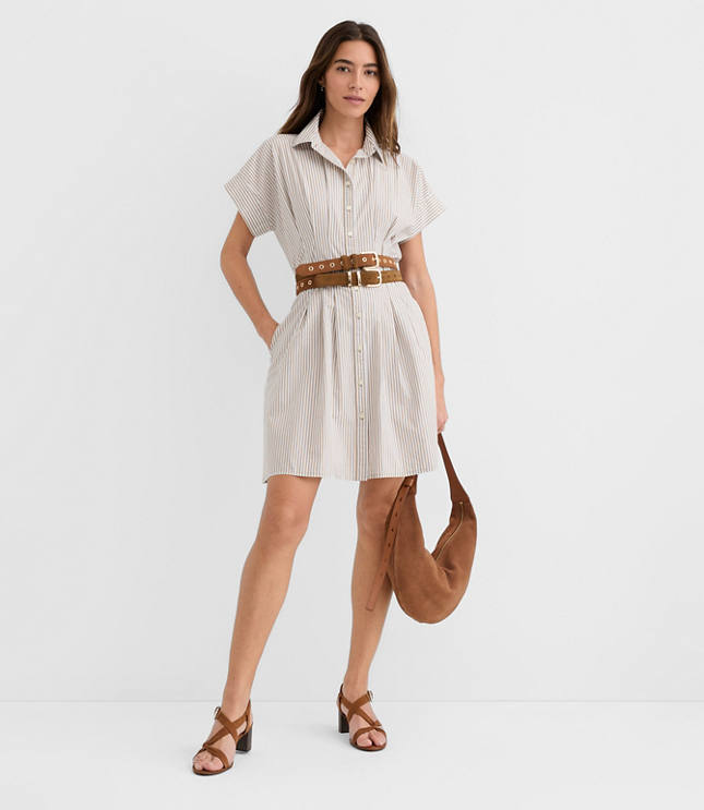 Striped Poplin Pleated Mini Pocket Shirtdress