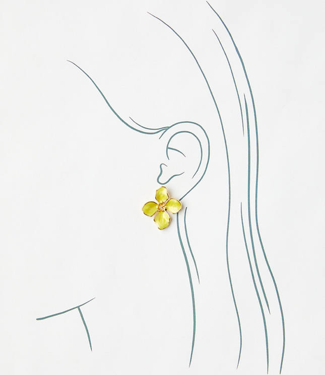 All Women's Clothing Loft