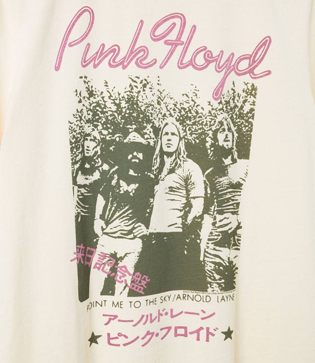 Junk Food Pink Floyd Point Me to the Sky Vintage Tee